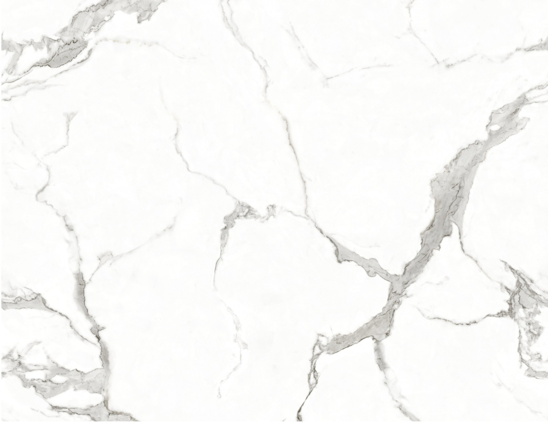 Calacatta Bianco