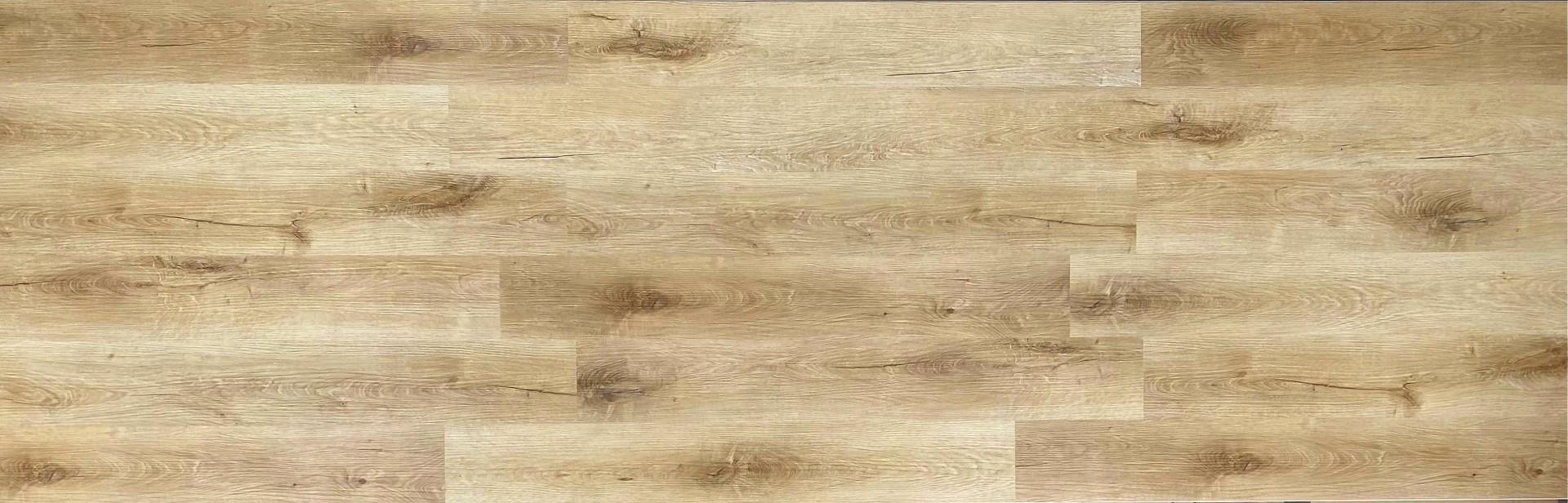 Sand Dune Oak