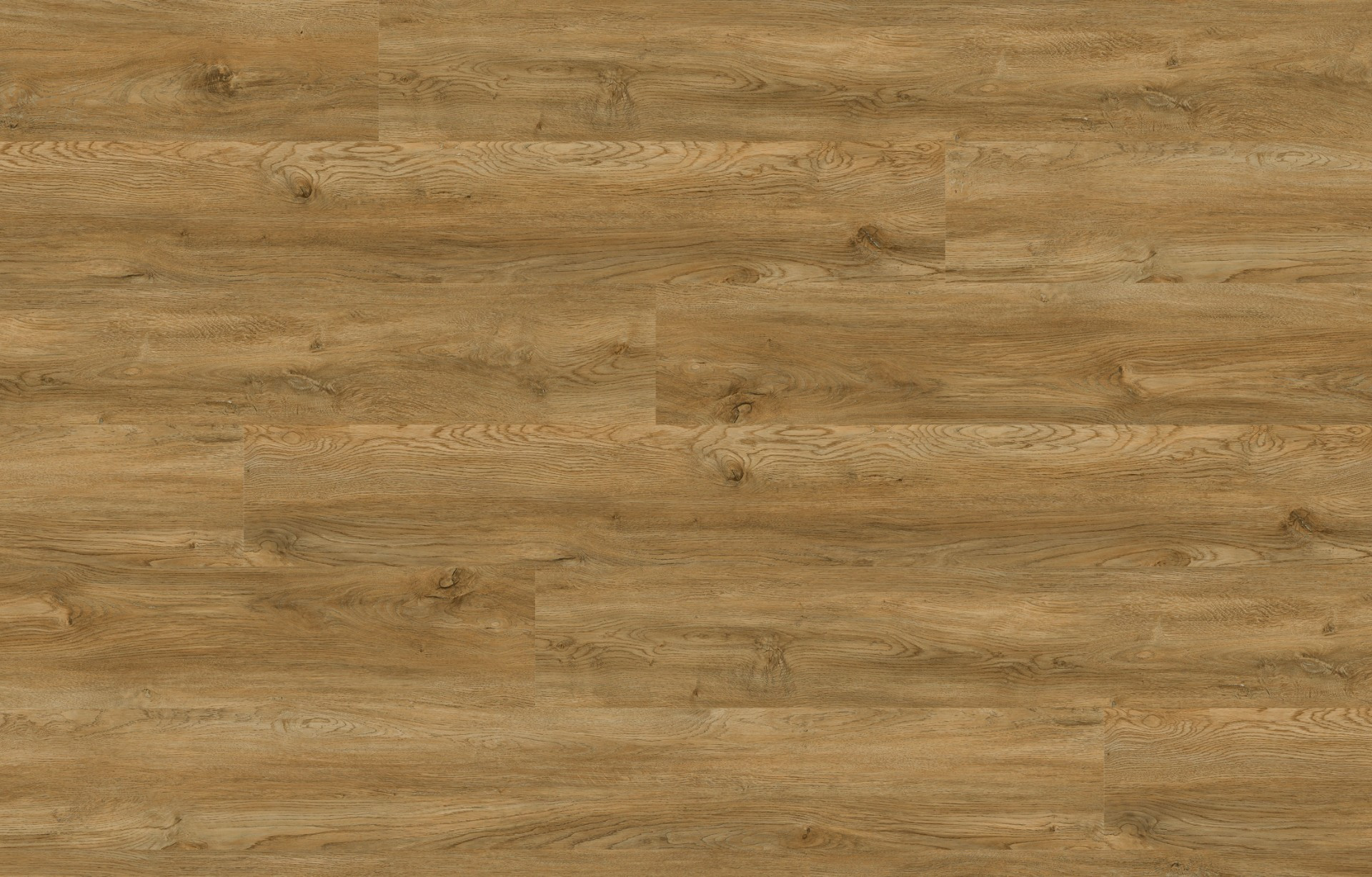 Amber Oak