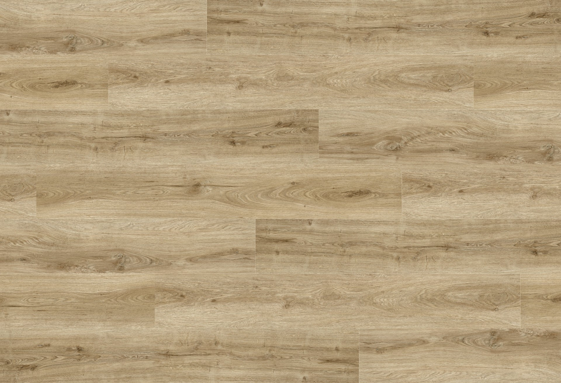 Sahara Oak